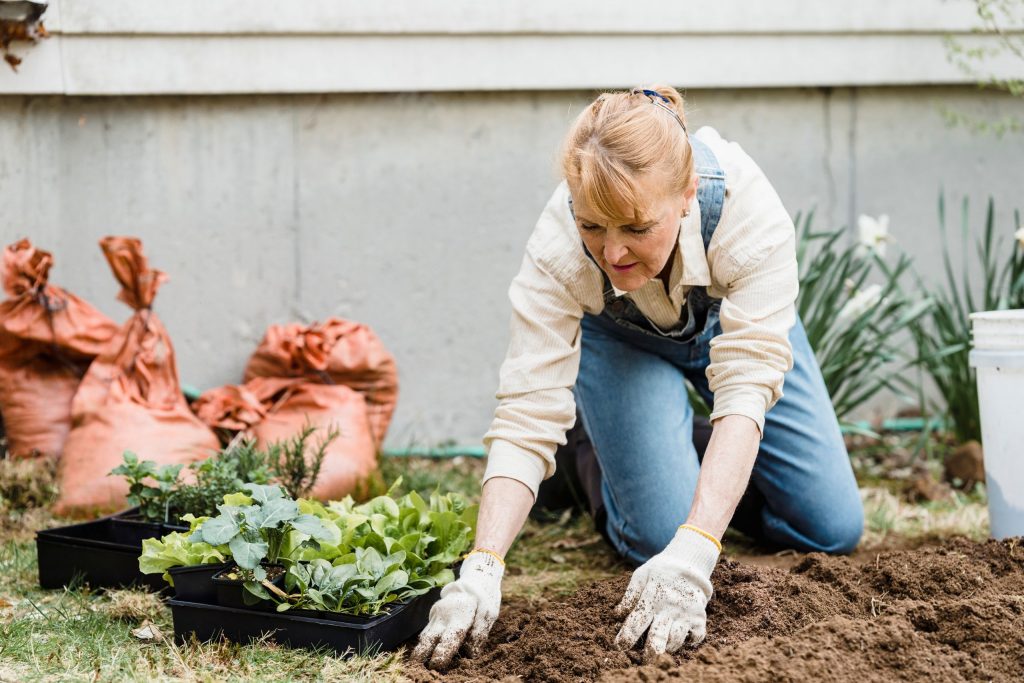 Tips for Ongoing Garden Maintenance and Growth